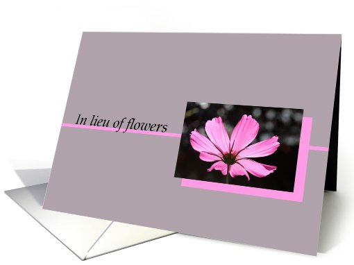In lieu of flowers pink cosmos card (603904)