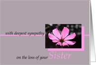 loss of sister pink cosmos flower sympathy card