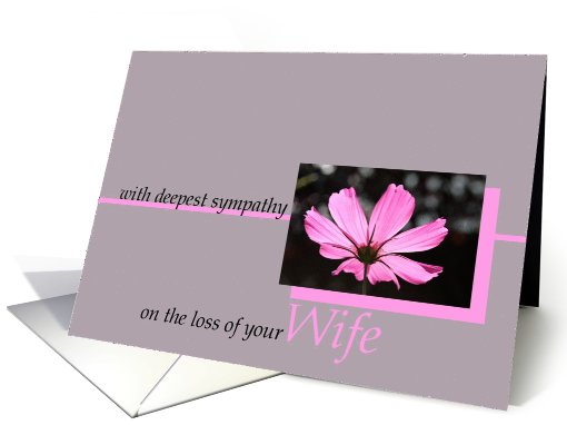 loss of wife pink cosmos flower sympathy card (604222)