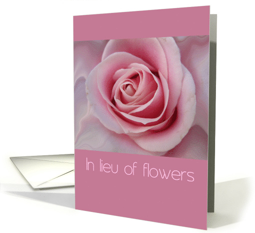 In lieu of flowers  pink rose card (604391)