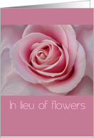 In lieu of flowers pink rose card