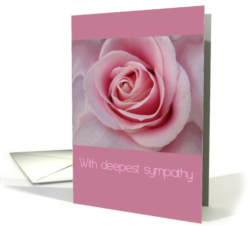 with deepest sympathy pink rose card (604397)