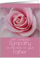 Sympathy Loss of Father Pink Rose card
