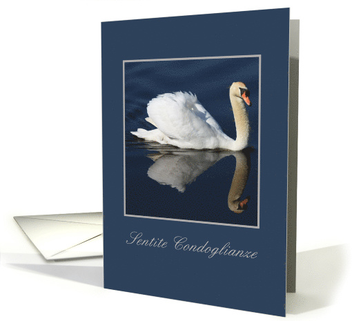Italian Sympathy Floating Swan card (612954)