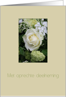 Dutch Sympathy White Rose card