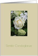 Italian Sympathy White Rose card