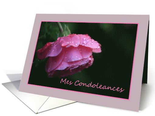 French Sympathy Raindrops on Pink Rose card (652639)