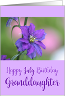 Granddaughter Happy July Birthday Purple Larkspur Birth Month Flower card