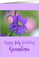 Grandma Happy July Birthday Purple Larkspur Birth Month Flower card