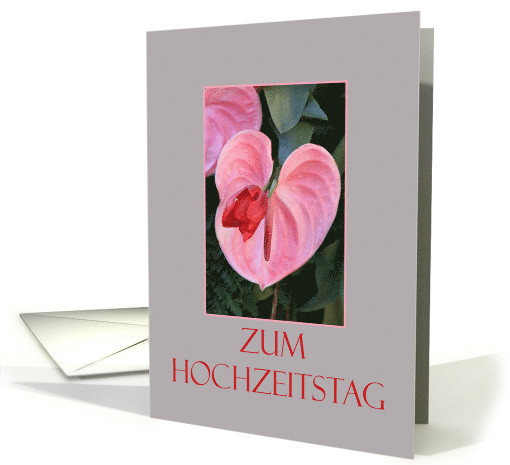 German Wedding Anniversary Pink Anthurium card (664928)
