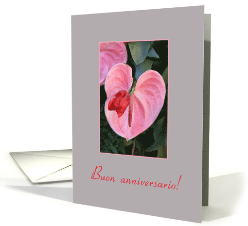 Italian Wedding Anniversary Buon Anniversario, Pink Anthurium card