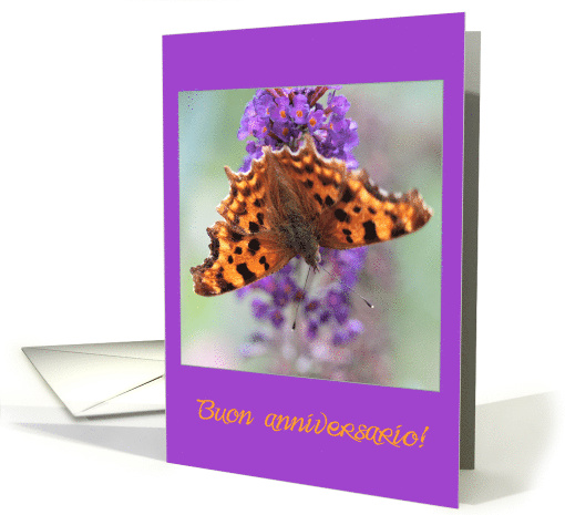 Italian Wedding Anniversary Buon Anniversario, Comma Butterfly card