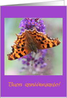 Italian Wedding Anniversary Buon Anniversario, Comma Butterfly card