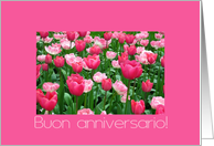 Italian wedding anniversary card, pink tulips card