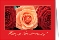 Wedding Anniversary Orange Pink and Red Roses card