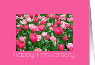 Wedding Anniversary Pink Tulips card