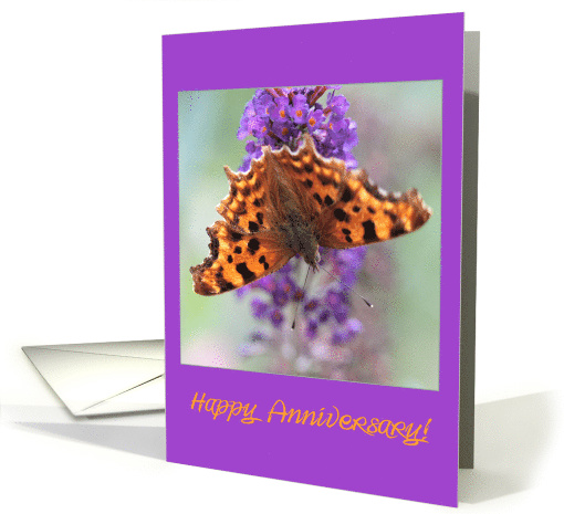 Wedding Anniversary Comma Butterfly card (665147)