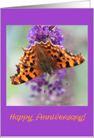 Wedding Anniversary Comma Butterfly card