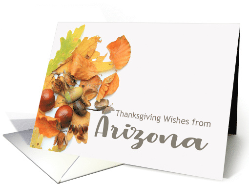 Arizona Thanksgiving Wishes Fall Foliage card (667181)
