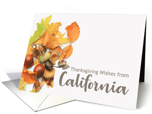 California Thanksgiving Wishes Fall Foliage card (667188)