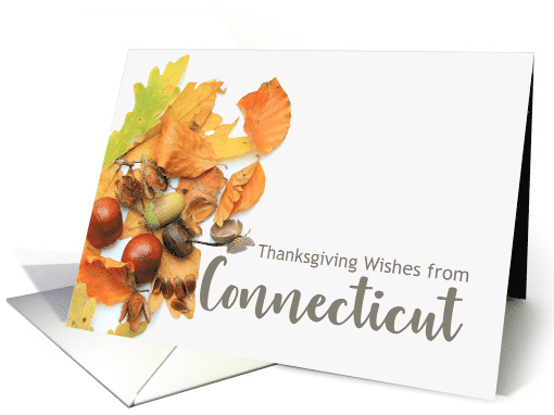 Connecticut Thanksgiving Wishes Fall Foliage card (667193)