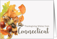 Connecticut Thanksgiving Wishes Fall Foliage card