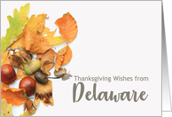 Delaware Thanksgiving Wishes Fall Foliage card