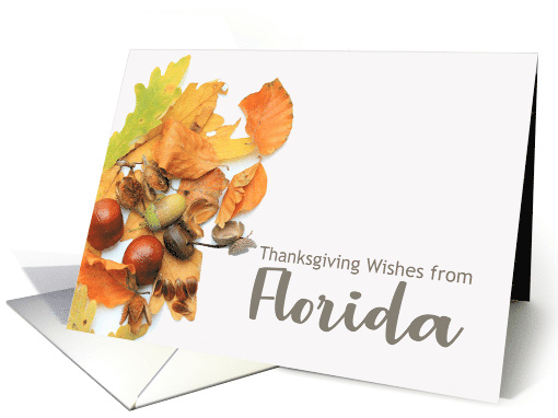 Florida Thanksgiving Wishes Fall Foliage card (667705)