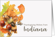 Indiana Thanksgiving Wishes Fall Foliage card