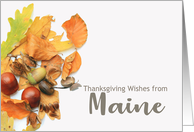 Maine Thanksgiving Wishes Fall Foliage card
