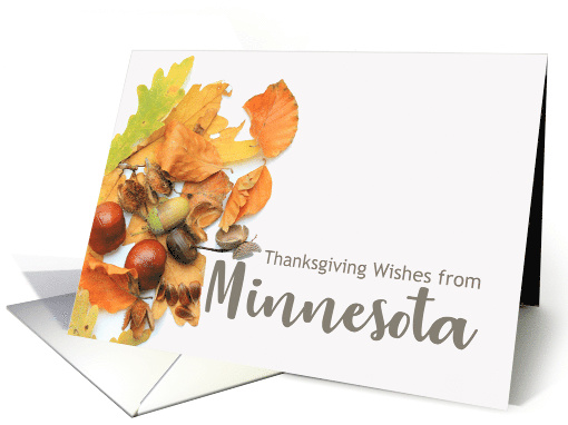 Minnesota Thanksgiving Wishes Fall Foliage card (668190)