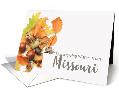 Missouri Thanksgiving Wishes Fall Foliage card (668196)
