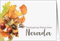 Nevada Thanksgiving Wishes Fall Foliage card