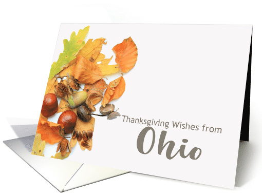 Ohio Thanksgiving Wishes Fall Foliage card (668240)