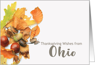 Ohio Thanksgiving Wishes Fall Foliage card