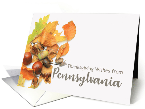 Pennsylvania Thanksgiving Wishes Fall Foliage card (668266)