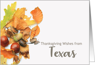 Texas Thanksgiving Wishes Fall Foliage card