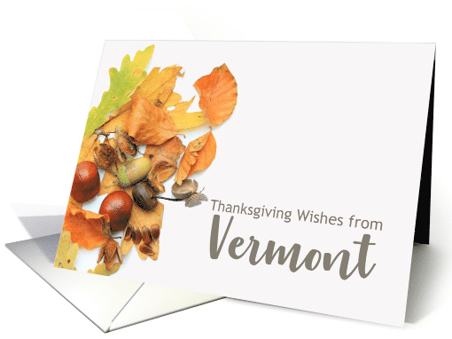 Vermont Thanksgiving Wishes Fall Foliage card (668679)