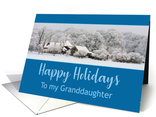 Granddaughter Winter Wonderland Happy Holidays card (669870)