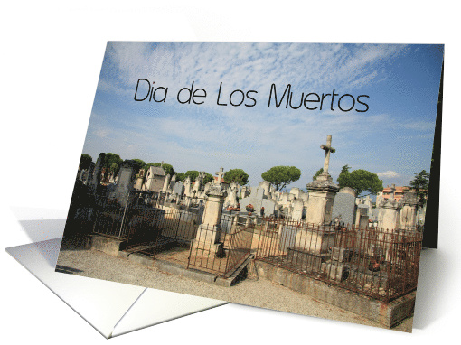 Dia de Los Muertos - French Cemetery card (687296)