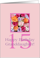 15th Birthday Granddaughter, Colorful Rose Bouquet card