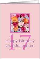 Granddaughter 17th...