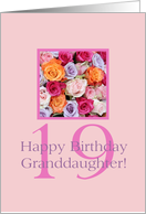 Granddaughter 19th Birthday Colorful Rose Bouquet card