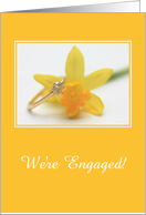 engagement announcement - daffodil spring engagement card