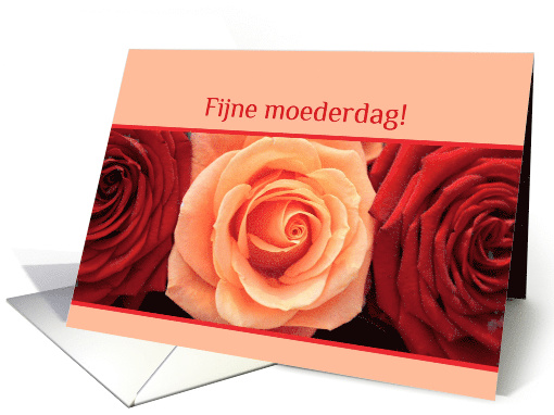 dutch happy mother's day card - red and orange roses card (761690)