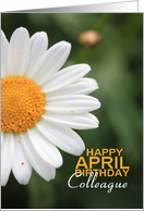 Colleague Happy April Birthday Daisy April Birth Month Flower card