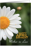 Mother in Law Happy April Birthday Daisy April Birth Month Flower card