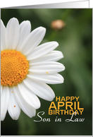 Son in Law Happy April Birthday Daisy April Birth Month Flower card