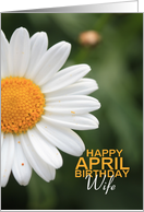 Wife Happy April Birthday Daisy April Birth Month Flower card