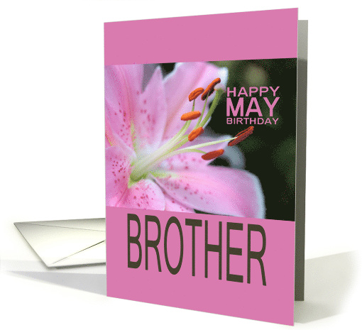 BrotherHappy May Birthday Tigerlily May Birth Month Flower card